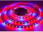 ФИТО LED лента 5050/60 негерметичная (IP20) standart (для расстений)